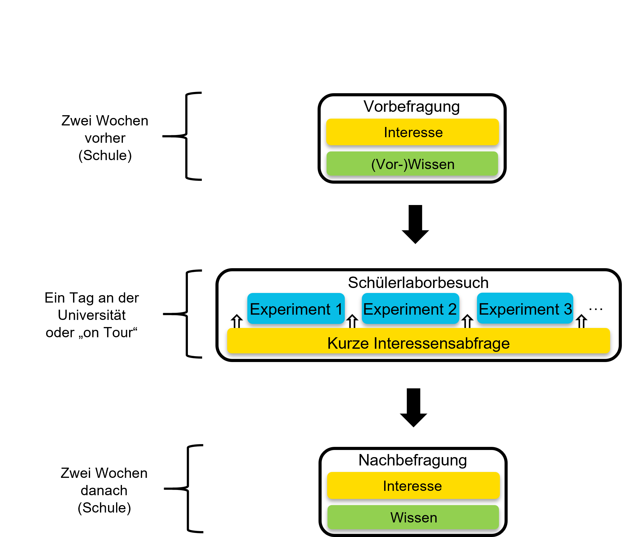 Bild Projektablauf